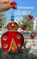 Uğur Böceği Seramik Duvar Süsü